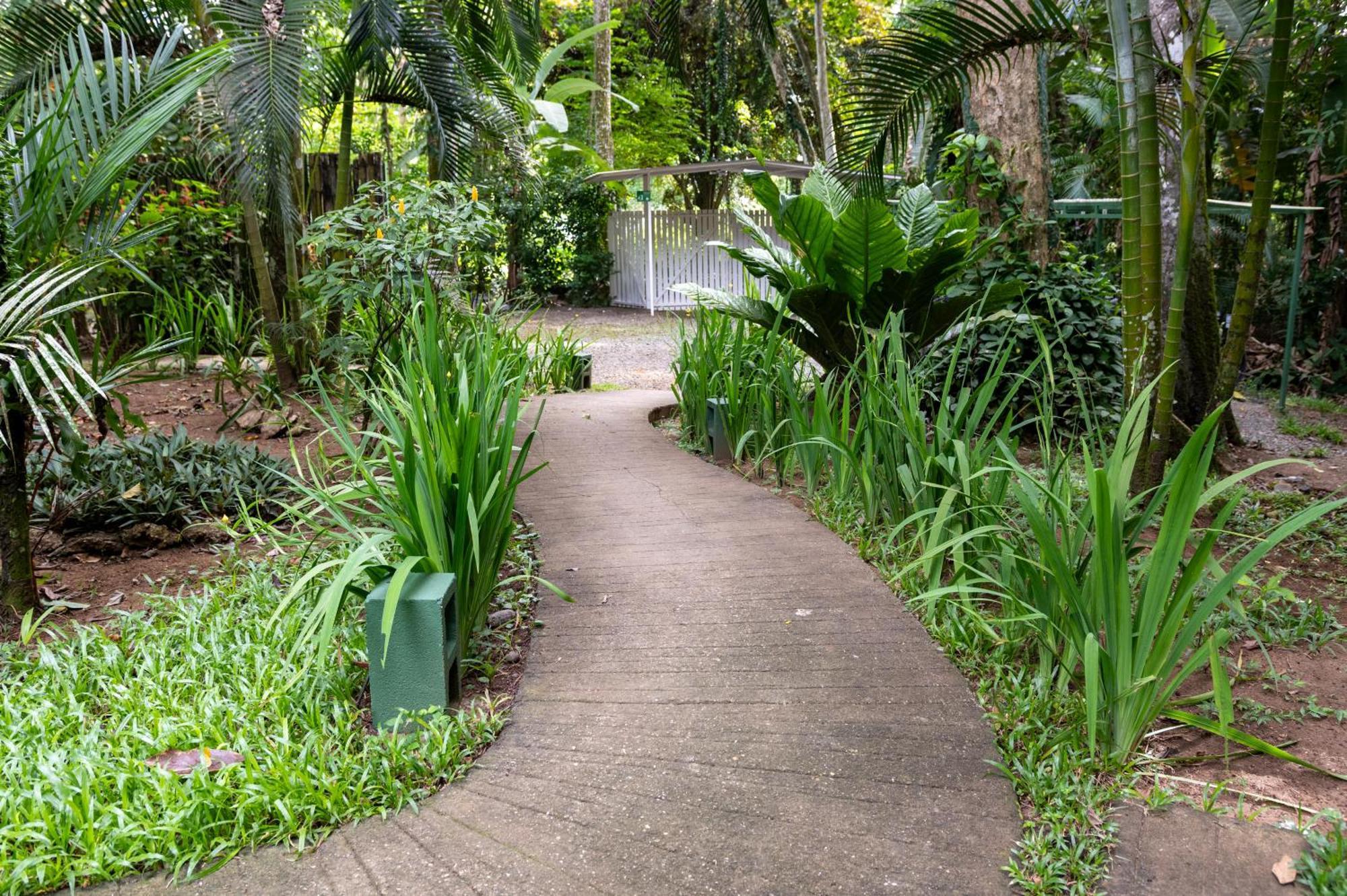 Jaguar Inn Bungalows Puerto Viejo de Talamanca Exteriér fotografie