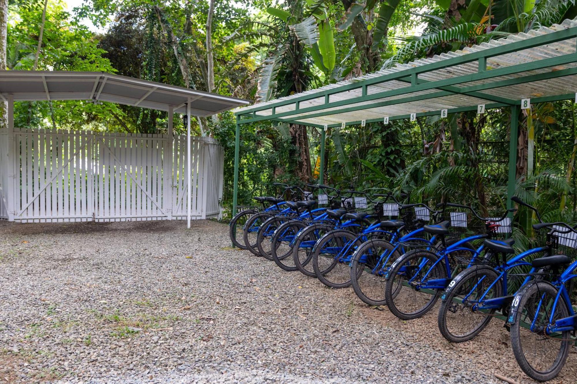 Jaguar Inn Bungalows Puerto Viejo de Talamanca Exteriér fotografie