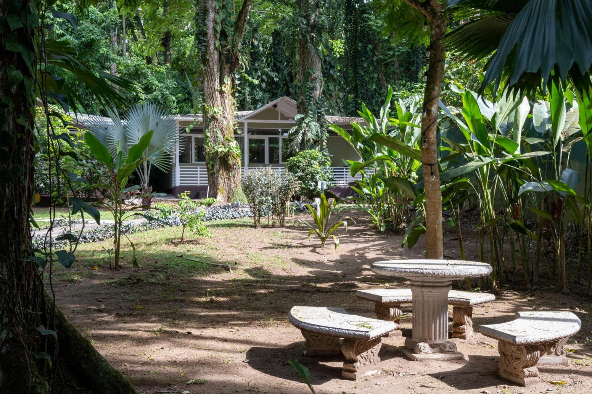 Jaguar Inn Bungalows Puerto Viejo de Talamanca Exteriér fotografie