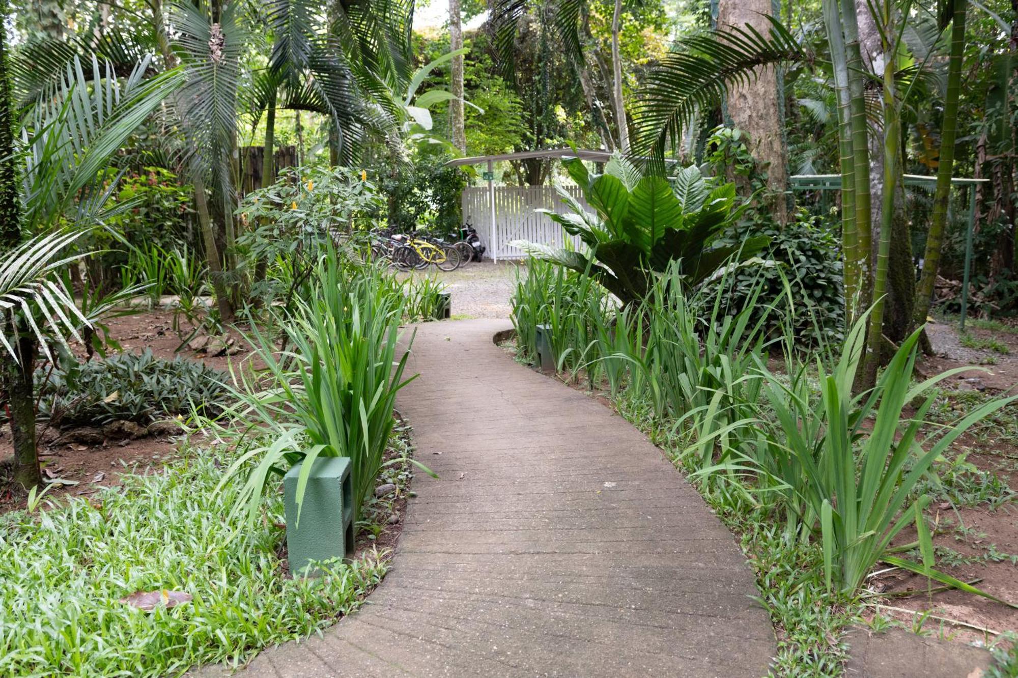 Jaguar Inn Bungalows Puerto Viejo de Talamanca Exteriér fotografie