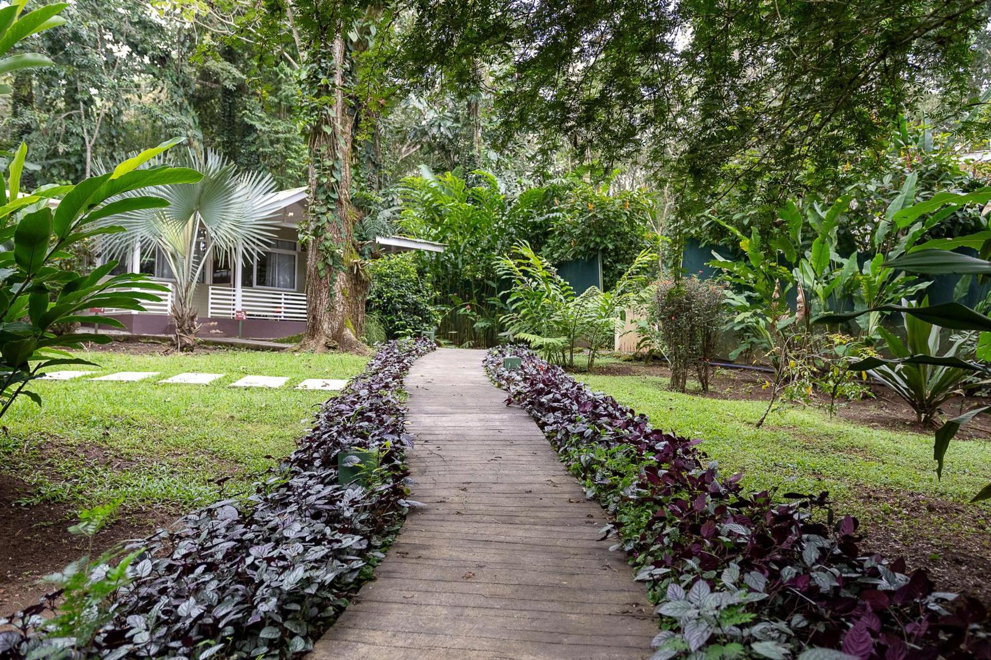 Jaguar Inn Bungalows Puerto Viejo de Talamanca Exteriér fotografie