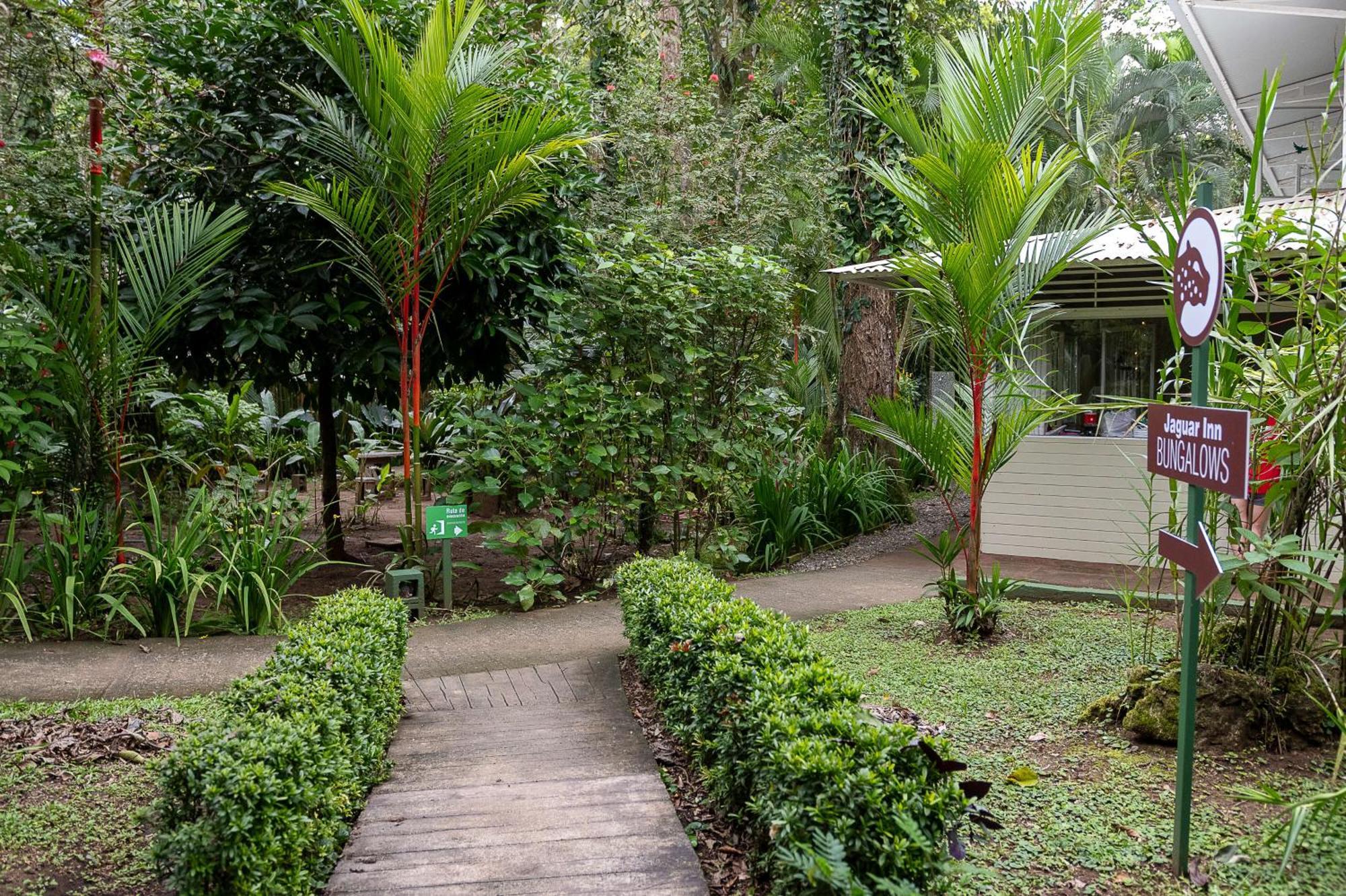 Jaguar Inn Bungalows Puerto Viejo de Talamanca Exteriér fotografie