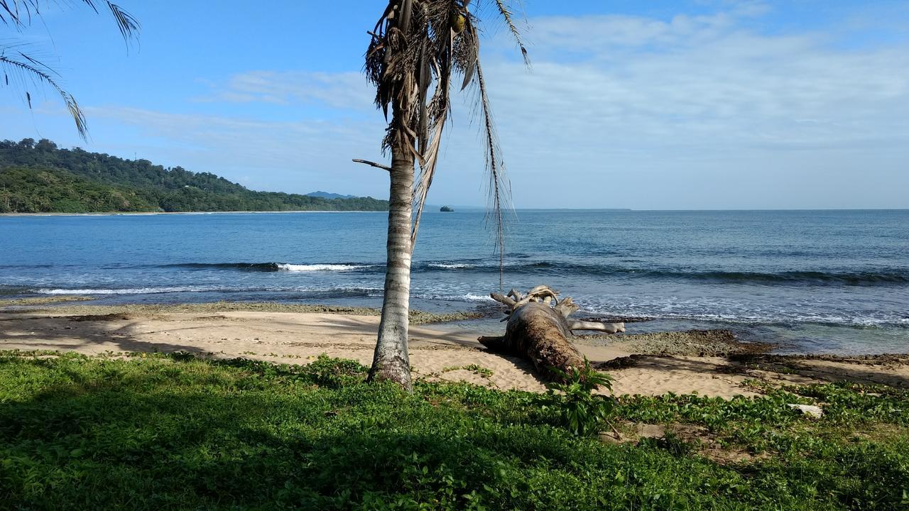 Jaguar Inn Bungalows Puerto Viejo de Talamanca Exteriér fotografie